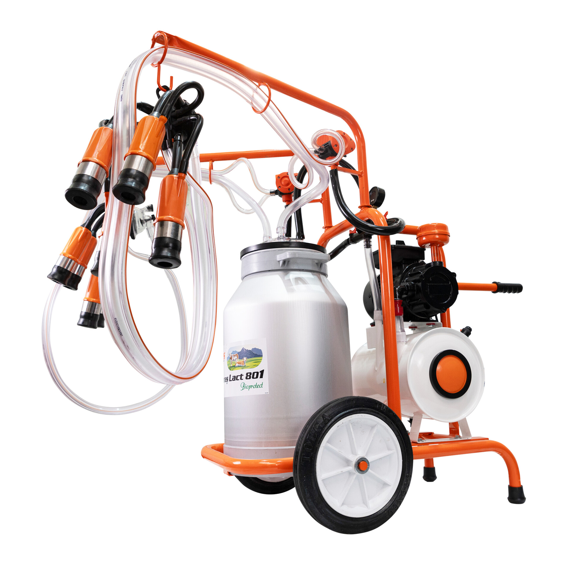 RURIS-Fagaras-Lact-801-detaliu-01