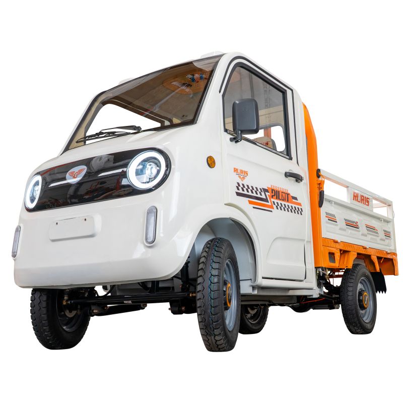 Vehicule electrice marca RURIS